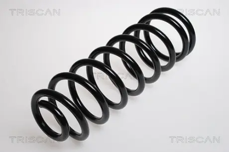 Пружина ходовой части TRISCAN 87502848