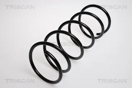 Пружина ходовой части TRISCAN 87502861