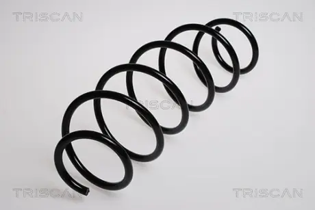Пружина ходовой части TRISCAN 87502863