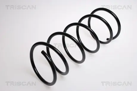 Пружина ходовой части TRISCAN 87502873