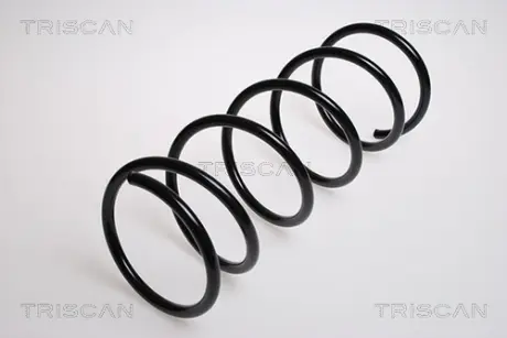 Пружина ходовой части TRISCAN 87502874