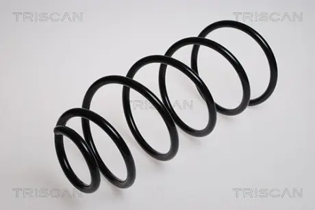 Пружина ходовой части TRISCAN 87502875