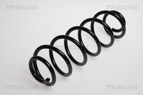 Пружина ходовой части TRISCAN 87502876