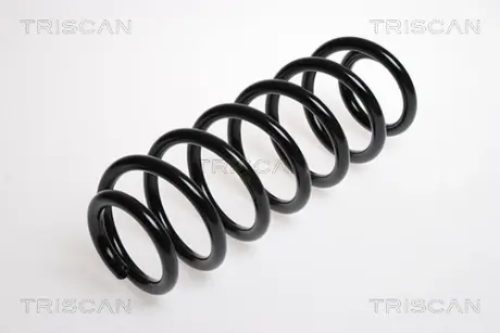 Пружина ходовой части TRISCAN 87502878