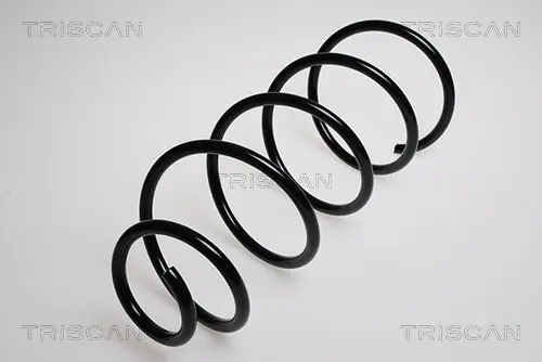 Пружина ходовой части TRISCAN 87502879 (фото 1)