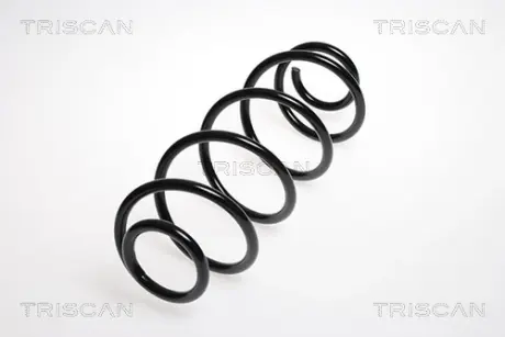 Пружина ходовой части TRISCAN 87502884