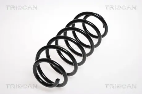 Пружина ходовой части TRISCAN 87502892