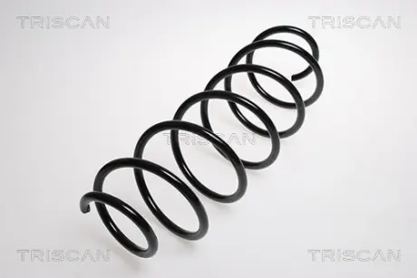 Пружина ходовой части TRISCAN 87502896