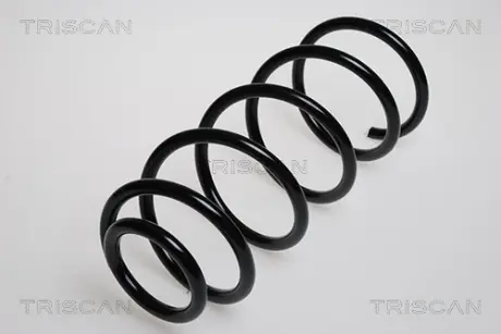 Пружина ходовой части TRISCAN 875029011