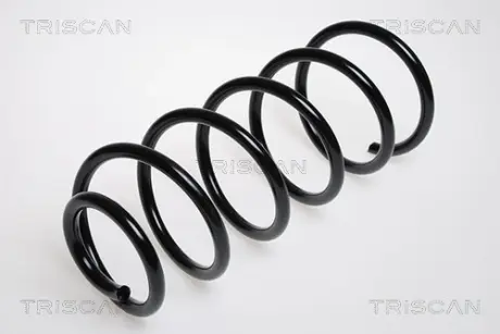 Пружина ходовой части TRISCAN 875029012