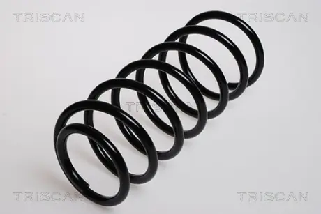 Пружина ходовой части TRISCAN 875029016