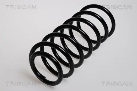 Пружина ходовой части TRISCAN 875029019