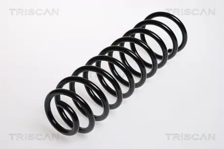 Пружина ходовой части TRISCAN 875029032