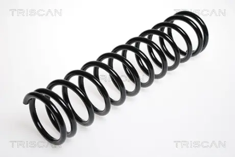 Пружина ходовой части TRISCAN 875029034