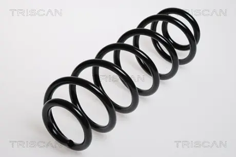 Пружина ходовой части TRISCAN 875029036