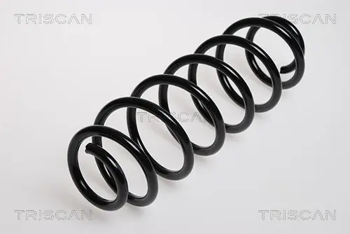 Пружина ходовой части TRISCAN 875029037 (фото 1)