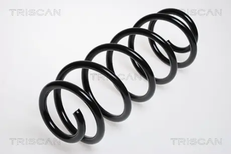 Пружина ходовой части TRISCAN 875029043