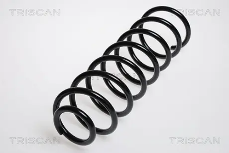 Пружина ходовой части TRISCAN 875029044