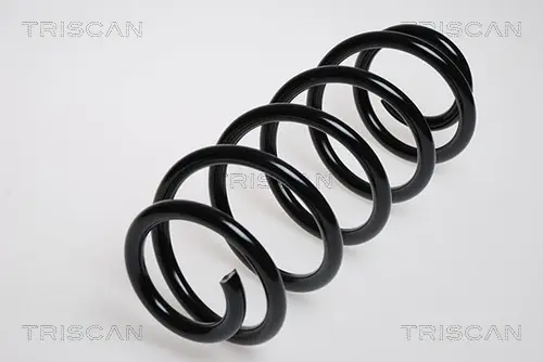 Пружина ходовой части TRISCAN 875029045 (фото 1)
