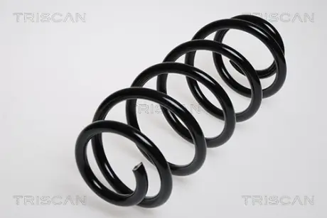 Пружина ходовой части TRISCAN 875029045