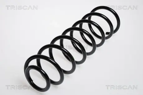Пружина ходовой части TRISCAN 875029047