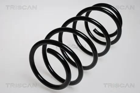 Пружина ходовой части TRISCAN 875029053