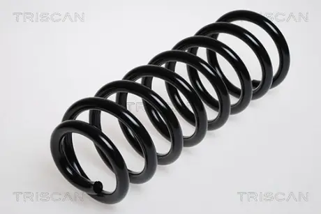 Пружина ходовой части TRISCAN 875029054