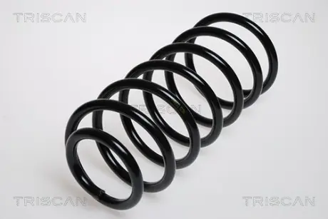 Пружина ходовой части TRISCAN 875029057