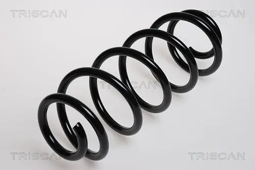 Пружина ходовой части TRISCAN 875029061 (фото 1)