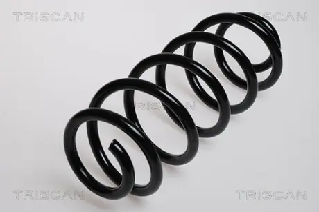 Пружина ходовой части TRISCAN 875029063
