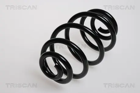 Пружина ходовой части TRISCAN 875029064