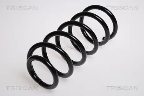 Пружина ходовой части TRISCAN 875029067