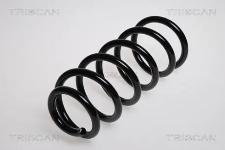 Пружина ходовой части TRISCAN 875029069