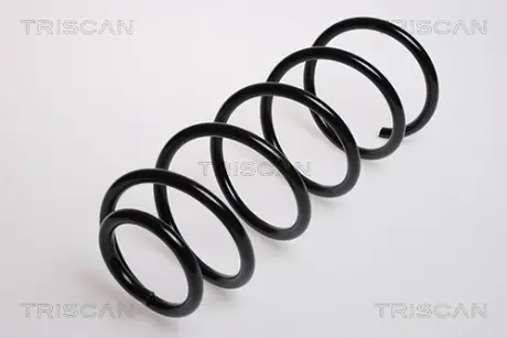 Пружина ходовой части TRISCAN 875029072