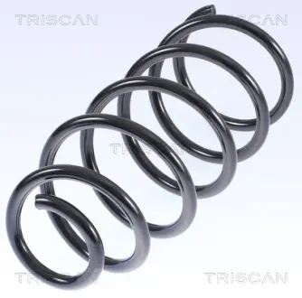 Пружина ходовой части TRISCAN 875029074
