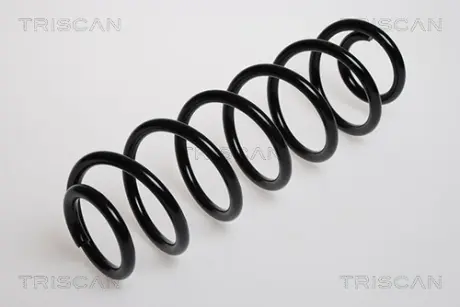 Пружина ходовой части TRISCAN 875029075