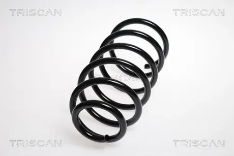 Пружина ходовой части TRISCAN 875029076