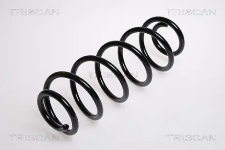 Пружина ходовой части TRISCAN 875029079