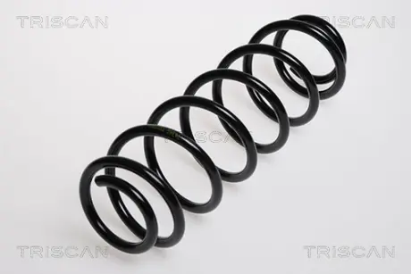 Пружина ходовой части TRISCAN 875029080