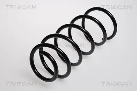 Пружина ходовой части TRISCAN 875029081