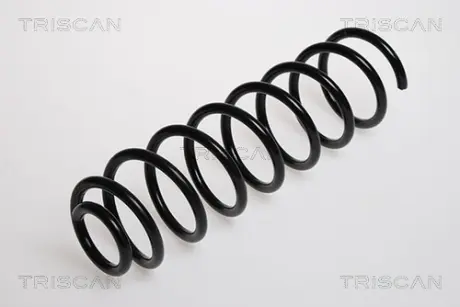 Пружина ходовой части TRISCAN 875029084