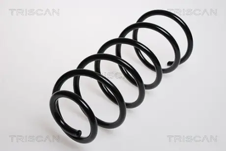 Пружина ходовой части TRISCAN 875029085