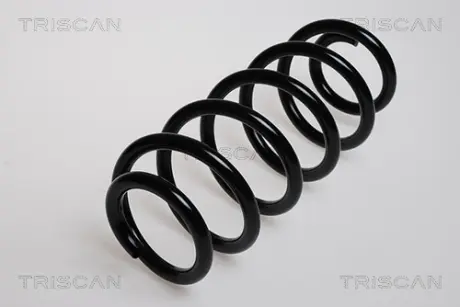 Пружина ходовой части TRISCAN 875029087