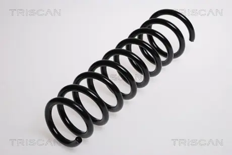 Пружина ходовой части TRISCAN 875029090