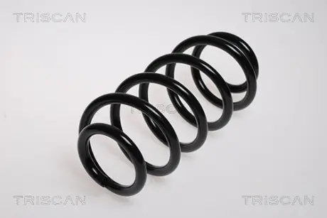 Пружина ходовой части TRISCAN 875029091