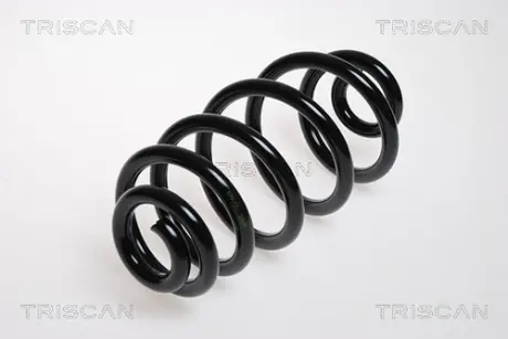 Пружина ходовой части TRISCAN 875029092