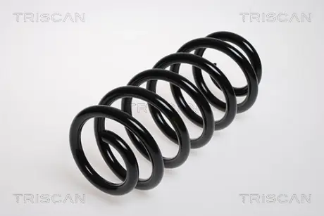 Пружина ходовой части TRISCAN 875029094