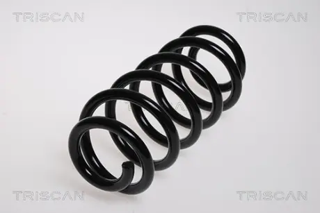 Пружина ходовой части TRISCAN 875029096