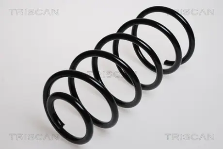 Пружина ходовой части TRISCAN 875029100