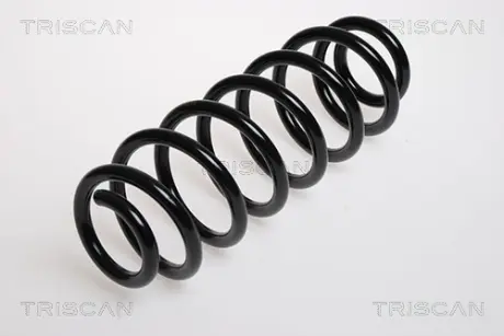 Пружина ходовой части TRISCAN 875029102